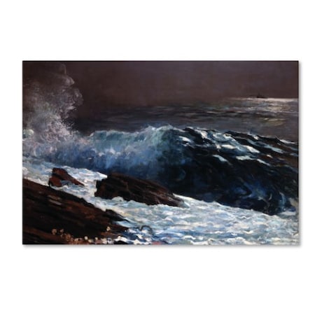Homer 'Sunlight On The Coast' Canvas Art,22x32
